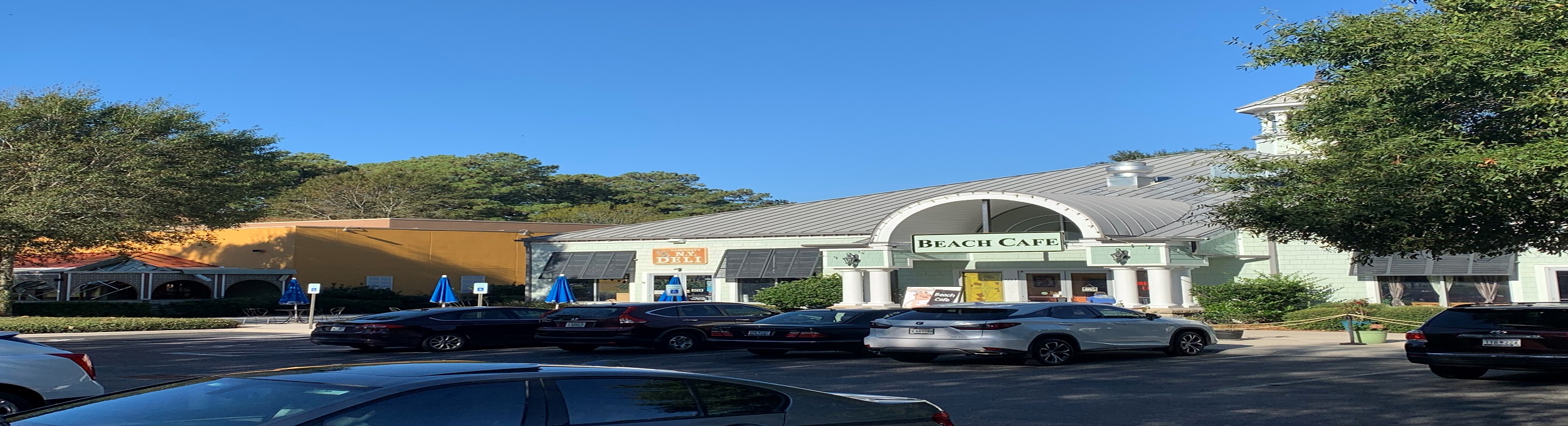 Palisades Village Burroughs and Chapin Property Leasing